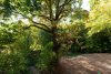 3-ZIMMER-EIGENTUMSWOHNUNG mit großem Privatgarten in historischer Bausubstanz - Garten